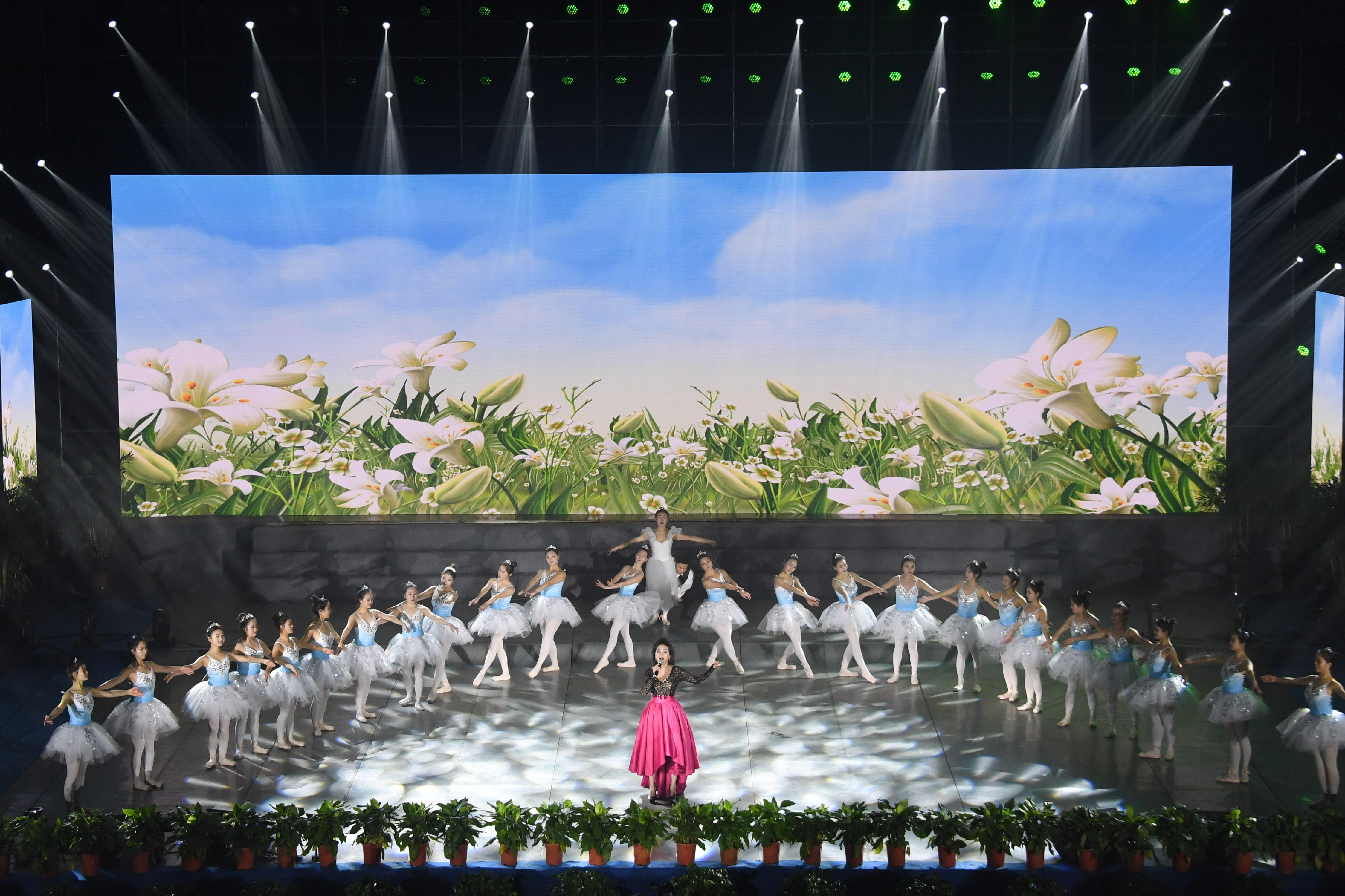 音乐学院马莎老师演唱《春天的芭蕾》.jpg