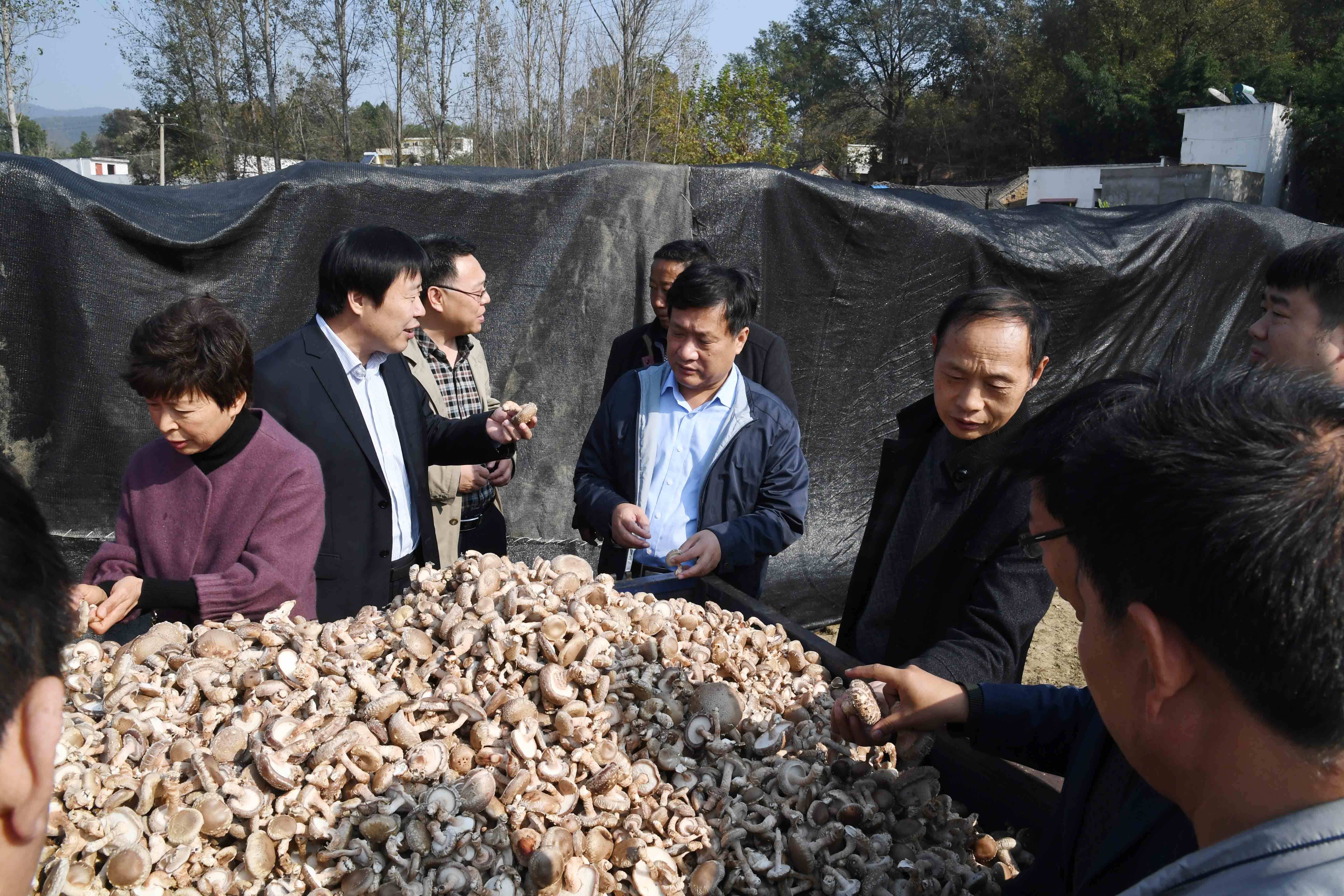 3查看扶贫项目香菇培育基地.jpg