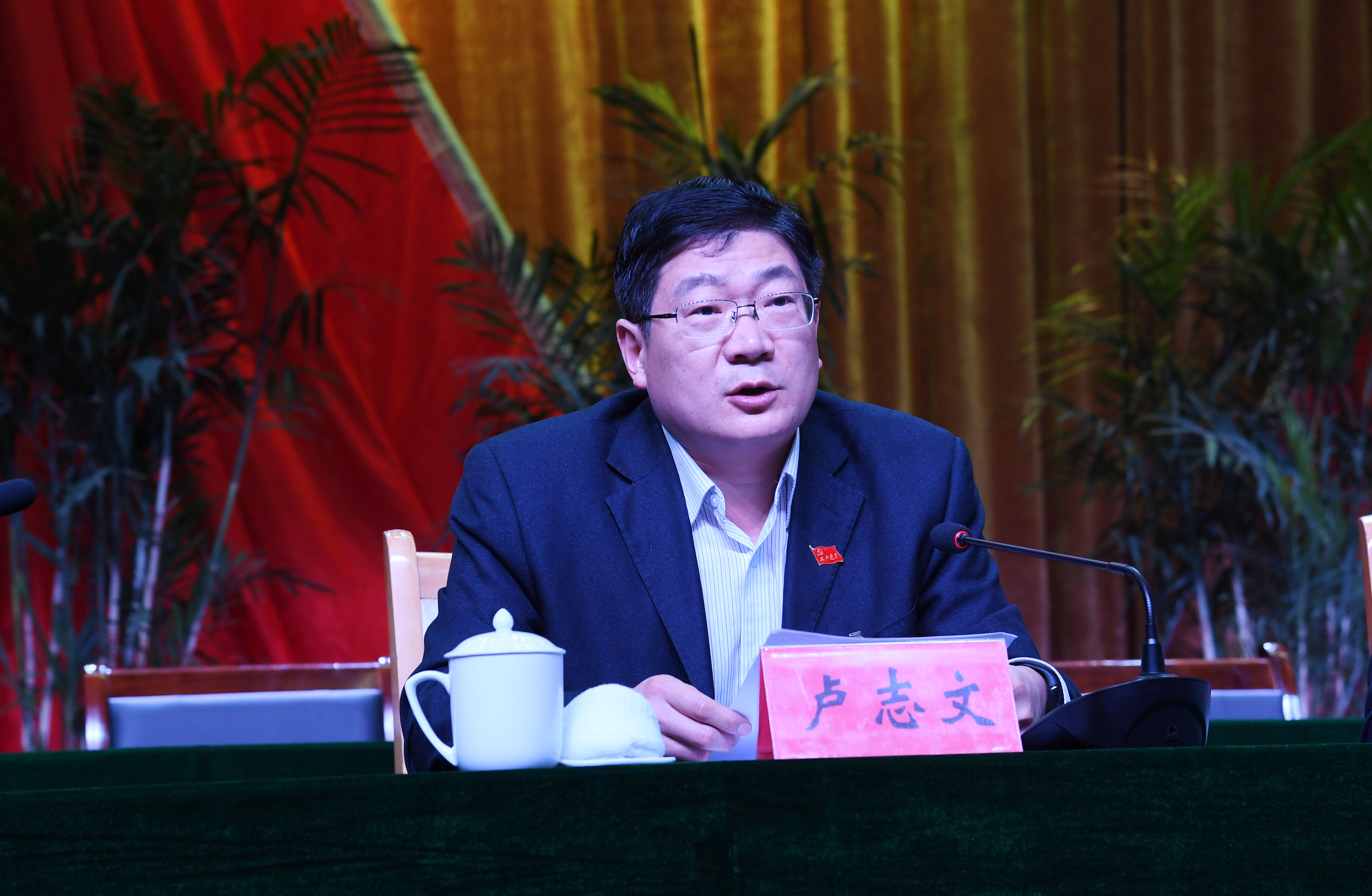 4党委副书记、纪委书记卢志文作代表资格审查报告.JPG