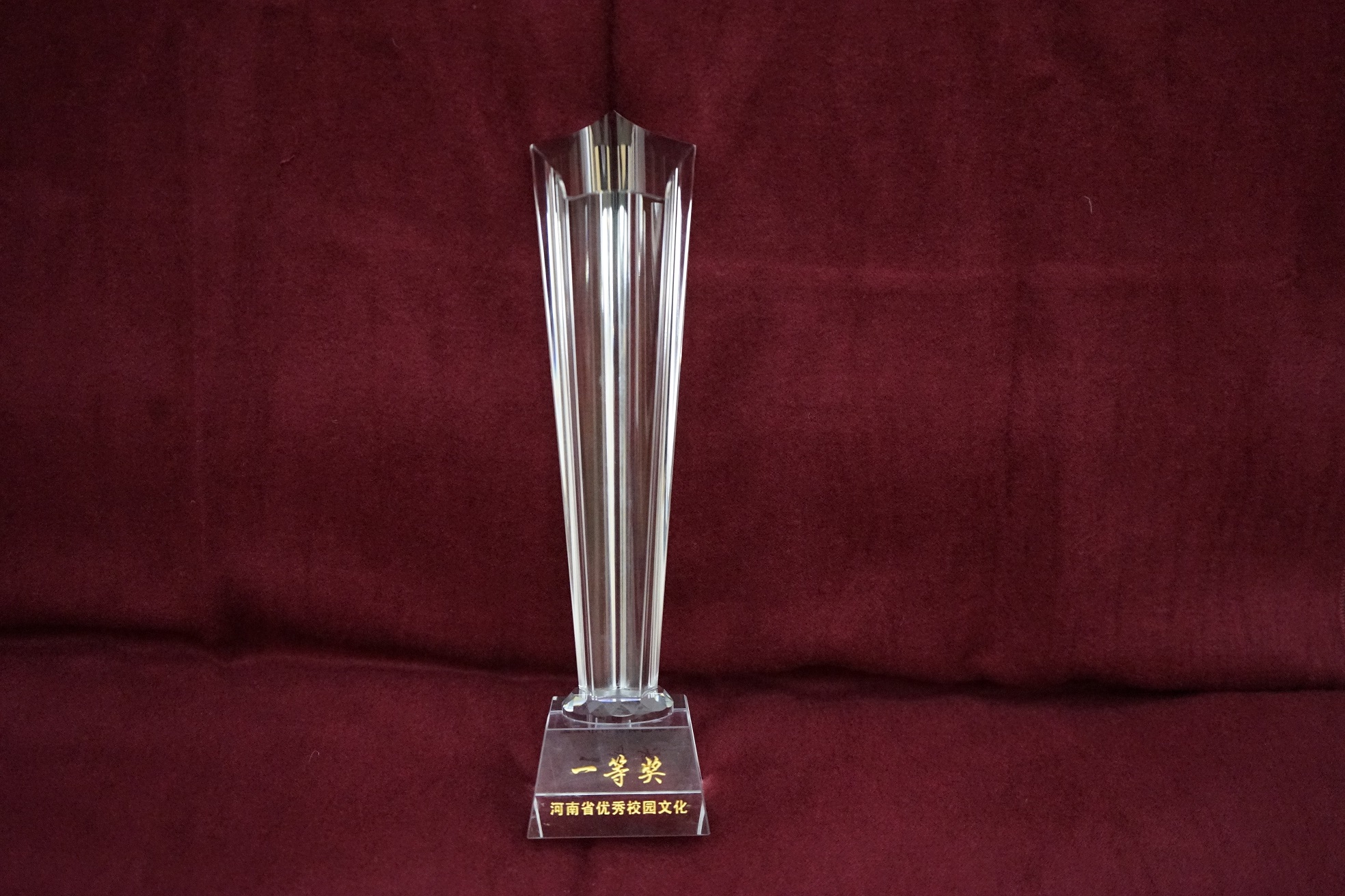 第二届校园文化建设优秀成果奖杯-卧龙文化艺术节.JPG