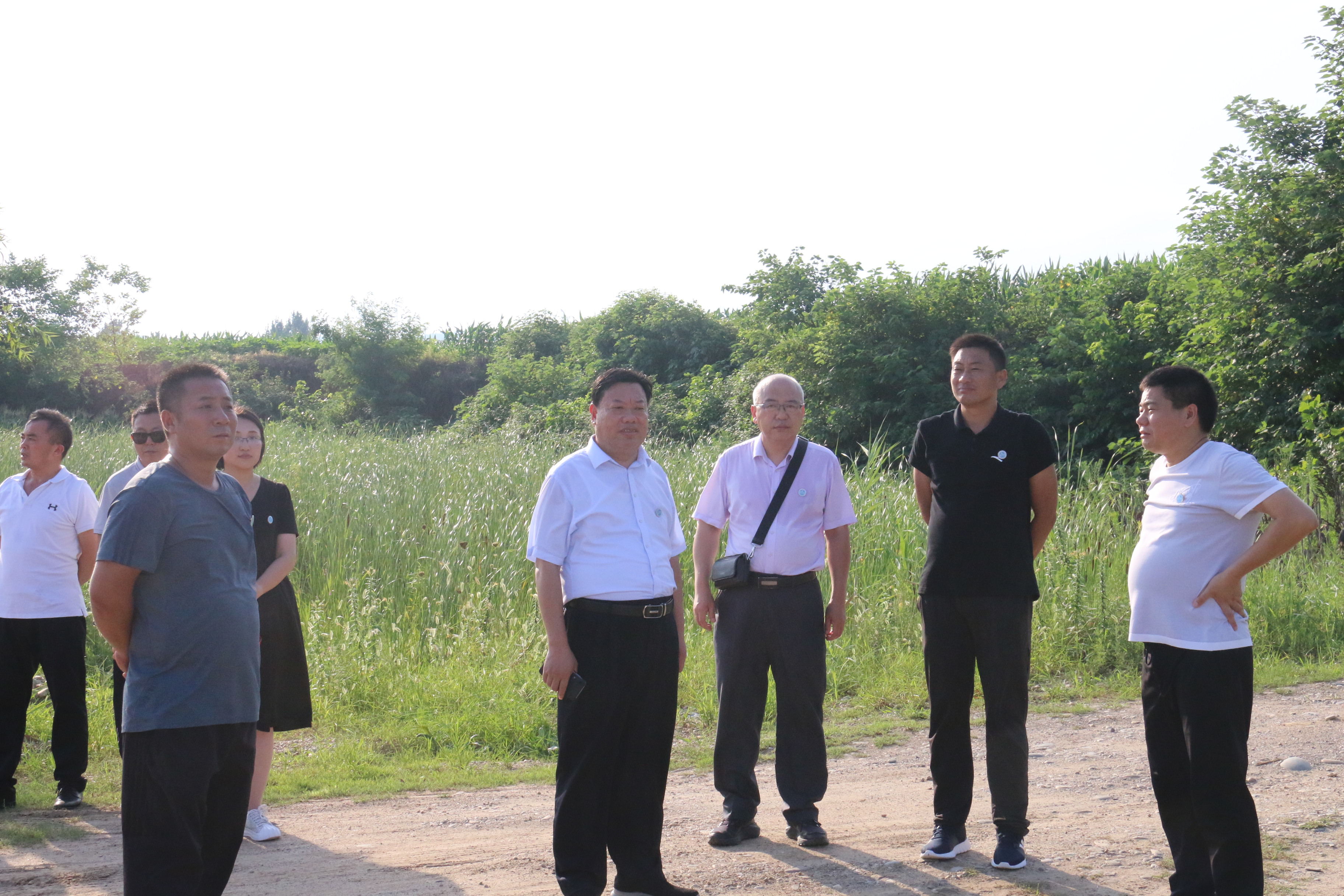 4.必赢官网师生前往丹江湿地保护区调研.jpg