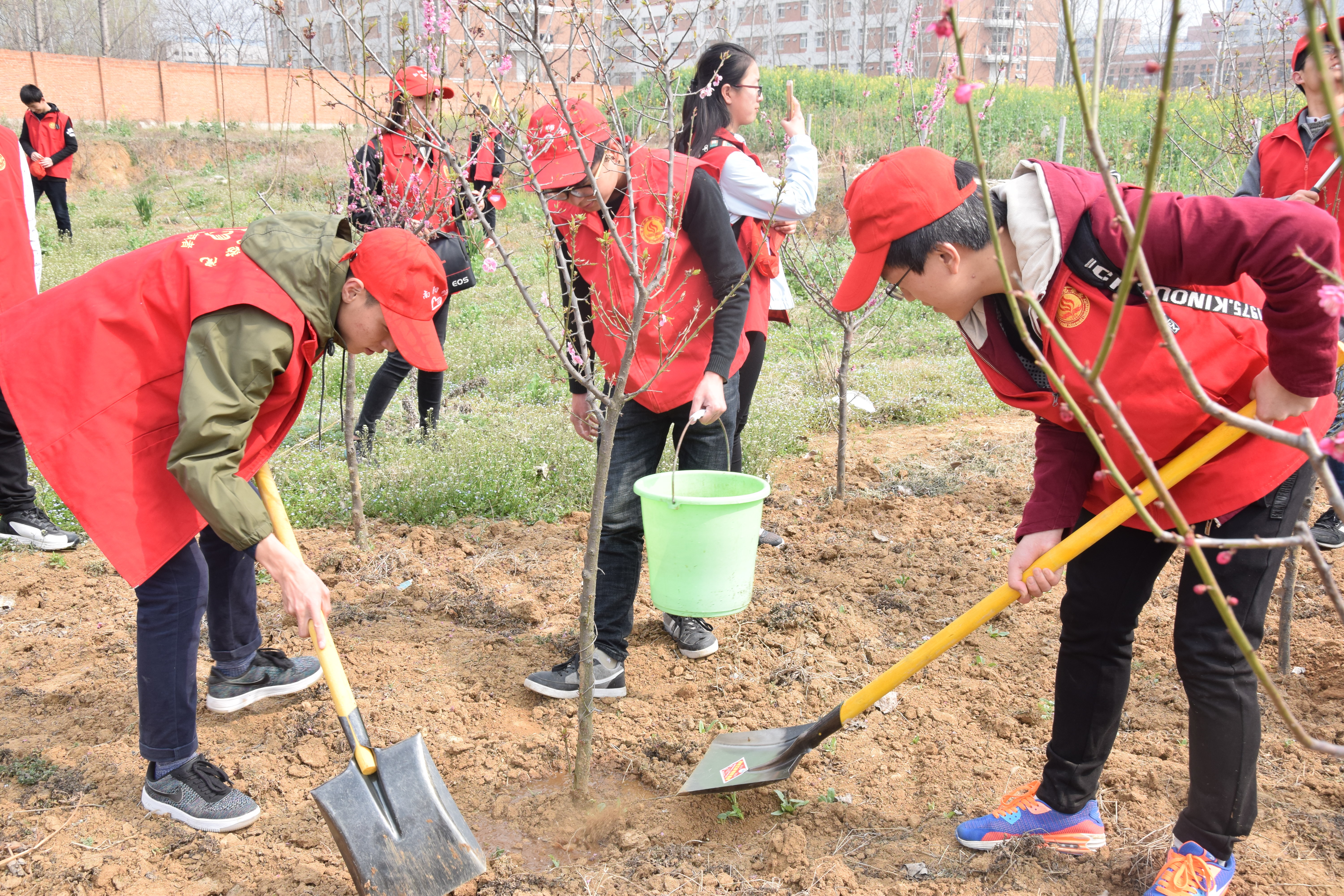 3机电工程学院、马克思主义学院、生命科学与技术学院志愿服务队在校园内开展植树活动植树志愿者活动.jpg