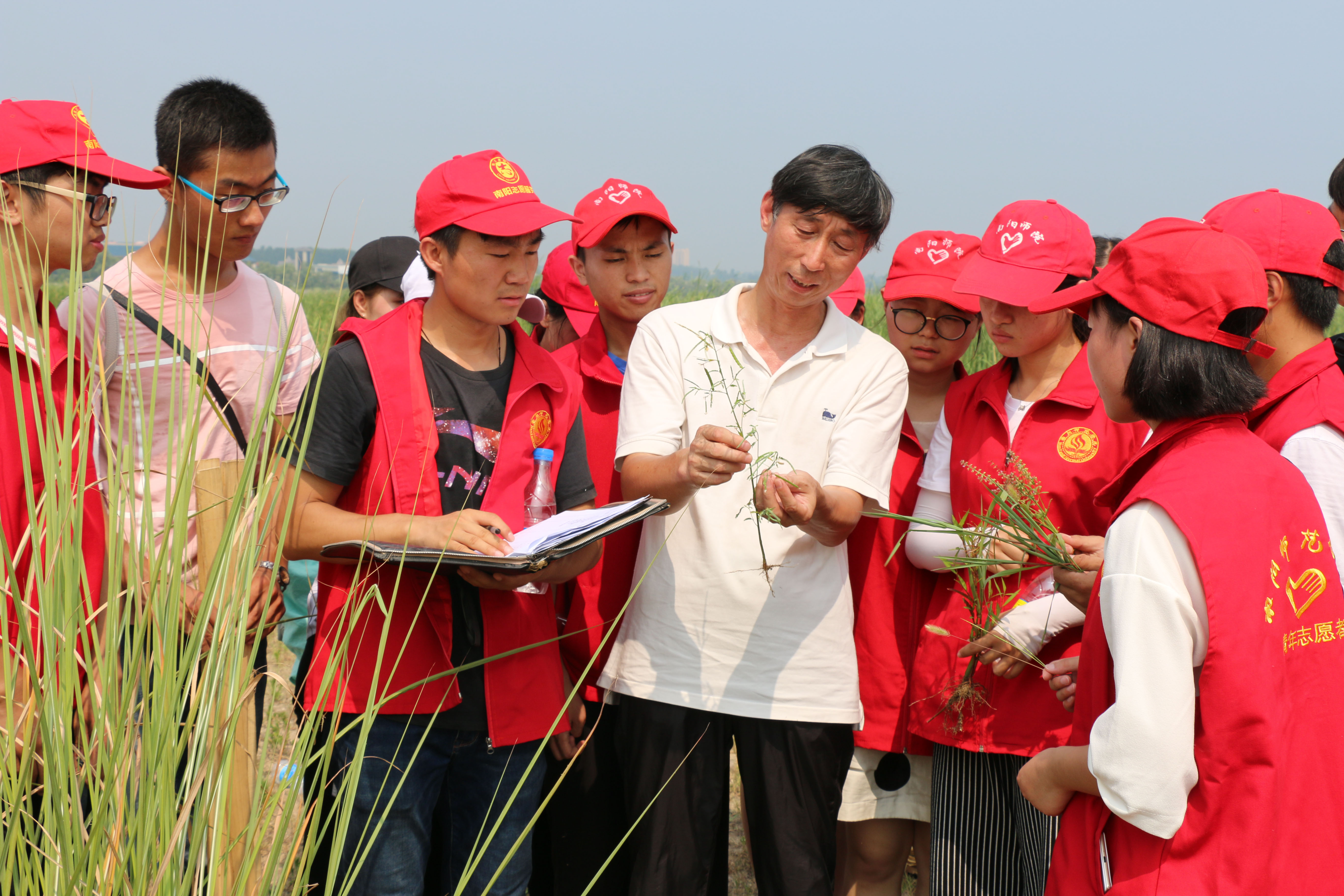 2刘宗才教授为志愿者们讲解禾本科植物相关知识.JPG