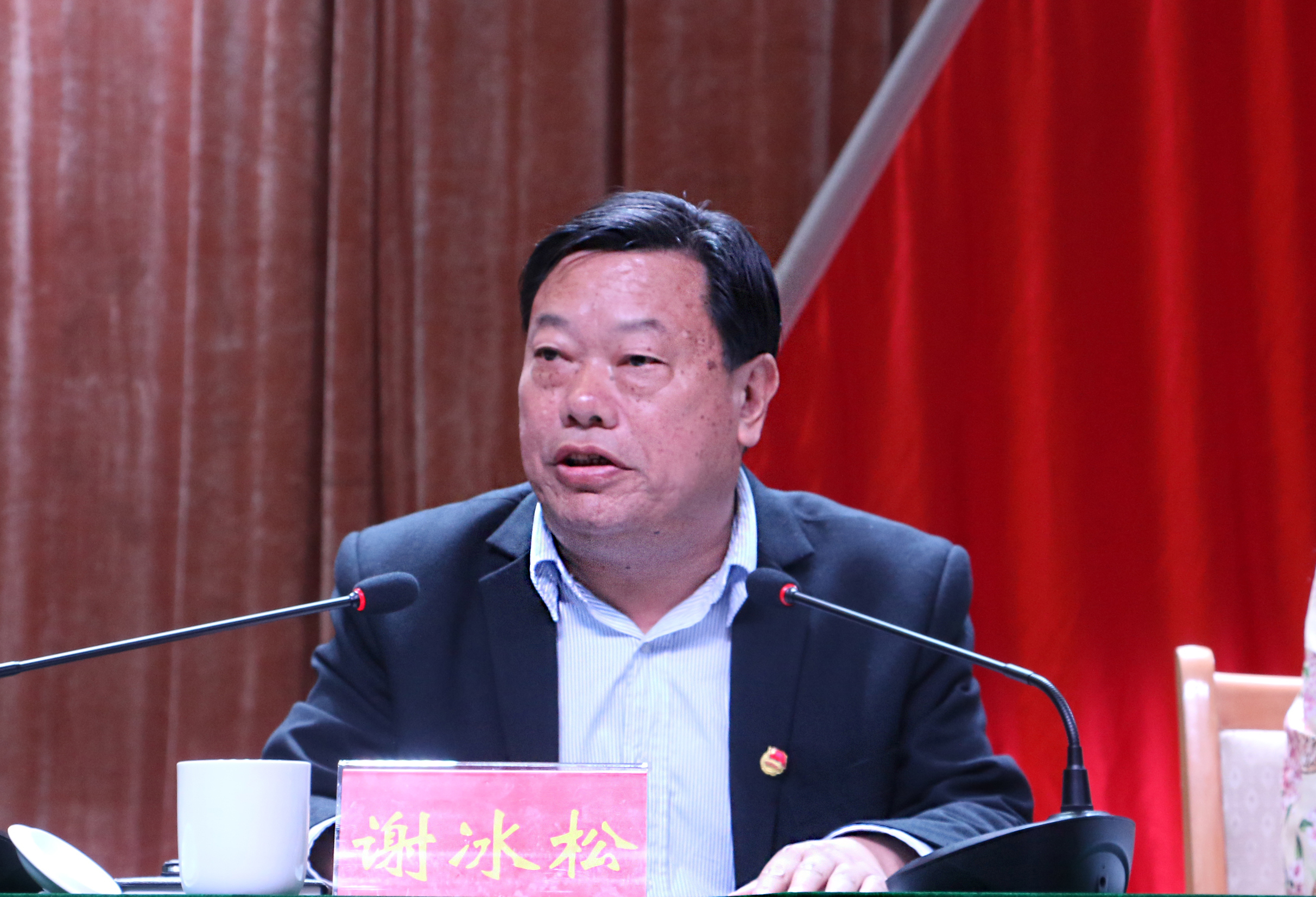 3副校长谢冰松讲话.JPG